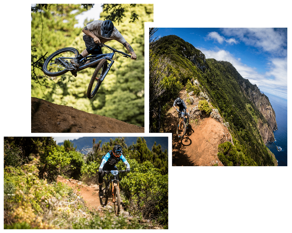 Royal Tryptique marque